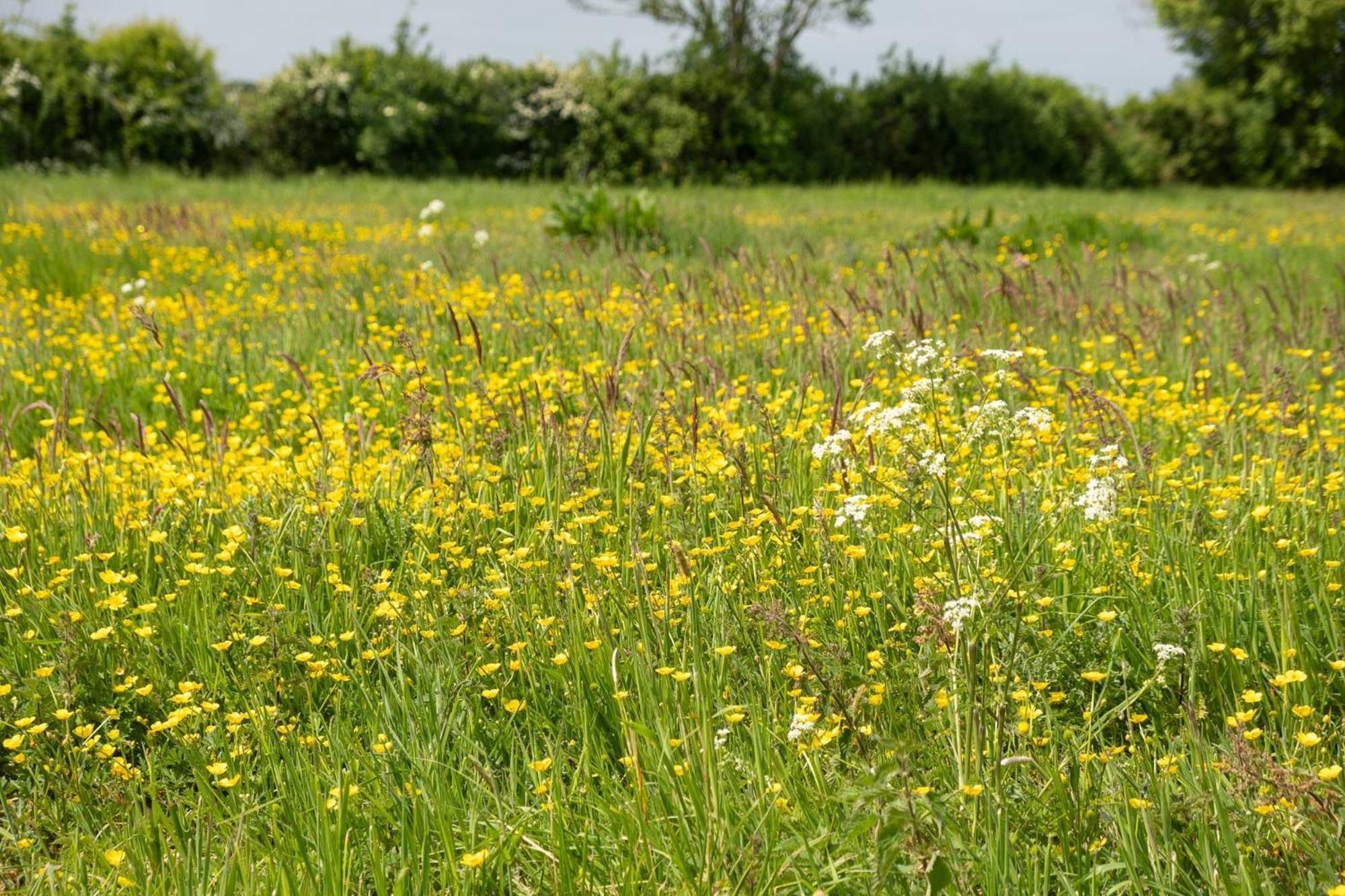 סאקסמונדהם East Green Farm Cottages - The Granary מראה חיצוני תמונה