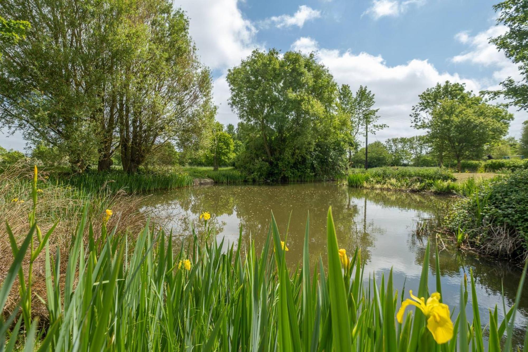 סאקסמונדהם East Green Farm Cottages - The Granary מראה חיצוני תמונה